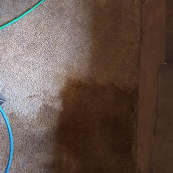 Rug Wranglers - Clean vs unclean deep stain area. Our machines work hard - Carpet Cleaning Near Me - Grafton, Ohio Rug Wranglers - Clean vs unclean deep stain area. Our machines work hard - Carpet Cleaning Near Me - Grafton, Ohio