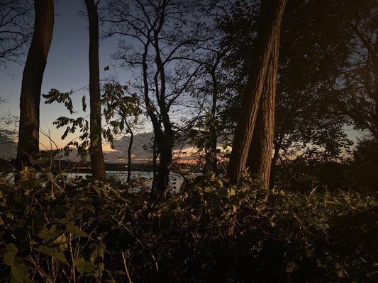 Shore Road Park by null