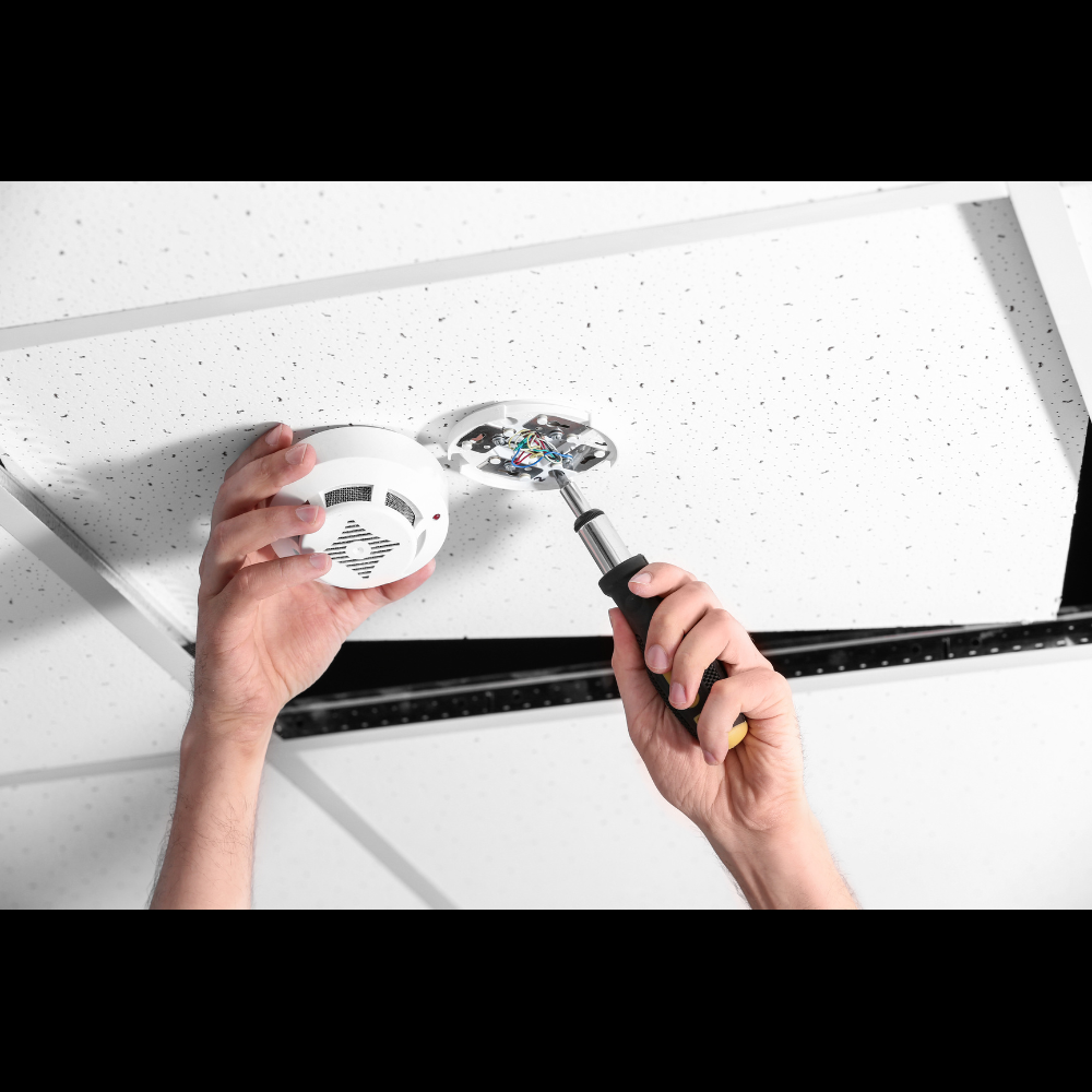 Slide of Pristine Handyman