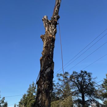 Northwest Tree Service and Firewood - Tree Services Near Me - Monroe, Washington Northwest Tree Service and Firewood - Tree Services Near Me - Monroe, Washington
