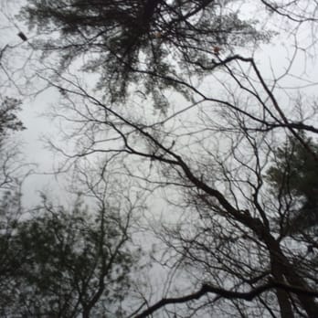 Table Rock State Park - Looking up! - Hiking Near Me - Pickens, South Carolina Table Rock State Park - Looking up! - Hiking Near Me - Pickens, South Carolina