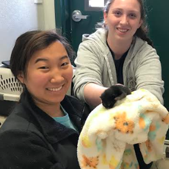 Whitman County Humane Society - We care for animals of all ages! Nursing them to health so they can find homes of their own. - Animal Shelters Near Me - Pullman, Washington