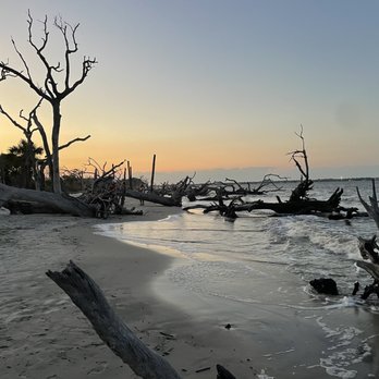 Driftwood Beach - Beaches Near Me - Jekyll Island, Georgia Driftwood Beach - Beaches Near Me - Jekyll Island, Georgia