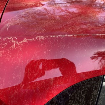 WhiteWater Express Car Wash - Sam Rittenberg - Pollen residue still there after time to shine wash - Car Wash Near Me - Charleston, South Carolina WhiteWater Express Car Wash - Sam Rittenberg - Pollen residue still there after time to shine wash - Car Wash Near Me - Charleston, South Carolina