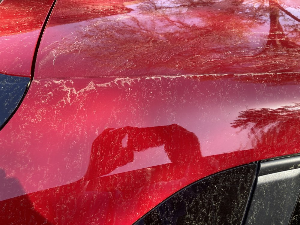 TIME TO SHINE CAR WASH SAM RITTENBERG Updated August 2024 30