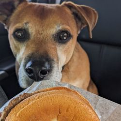 McDonald's - Post chemo treat