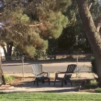Mason's Treescape - Before - Tree Services Near Me - Hesperia, California Mason's Treescape - Before - Tree Services Near Me - Hesperia, California