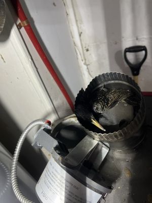 Elmhurst Plumbing Heating and Cooling