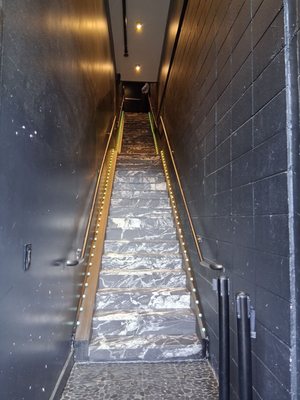 Citizens and Culture by null