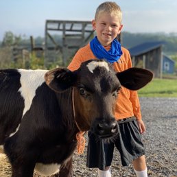 Mooo Mooo