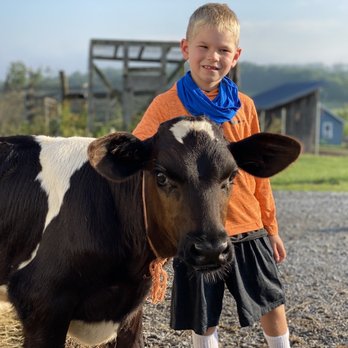 Hull-O Farms - Mooo - Guest Houses Near Me - Durham, New York Hull-O Farms - Mooo - Guest Houses Near Me - Durham, New York