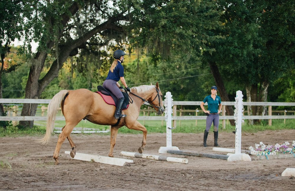 Above And Beyond Equestrian - equestrian in Orlando, FL