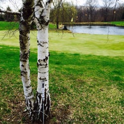 Green Ridge Golf Club