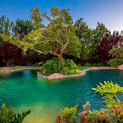 Exclusive Luxury Rentals