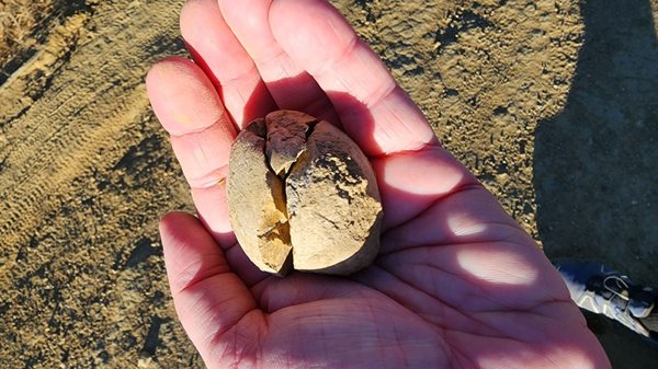 Anthony Chabot Regional Park by null