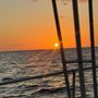 Photo of Iruka Hawaii Dolphin