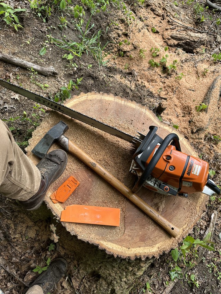 Wildwood Tree Care - veterans service organization in Wyoming, MI