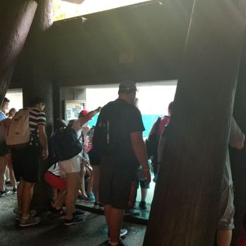 Gorilla Falls Exploration Trail - Amusement Parks Near Me - Lake Buena Vista, Florida