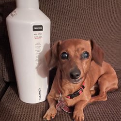 Tj Maxx - For work - 60 oz!