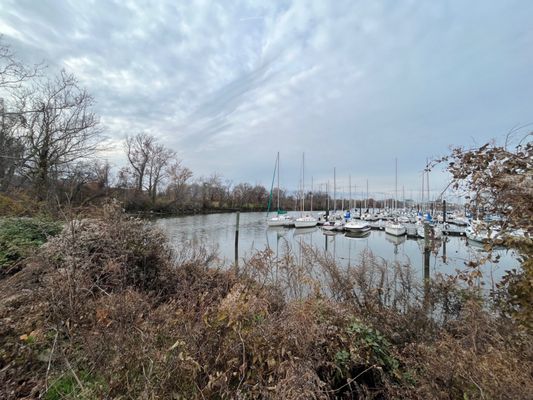 Washington Sailing Marina by null