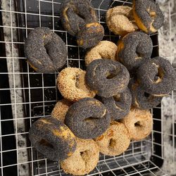 Bernie's NYC Bagel
