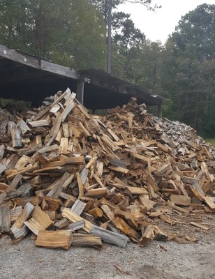 Cotcamp's Tree Service