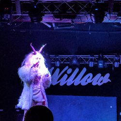 The Willow