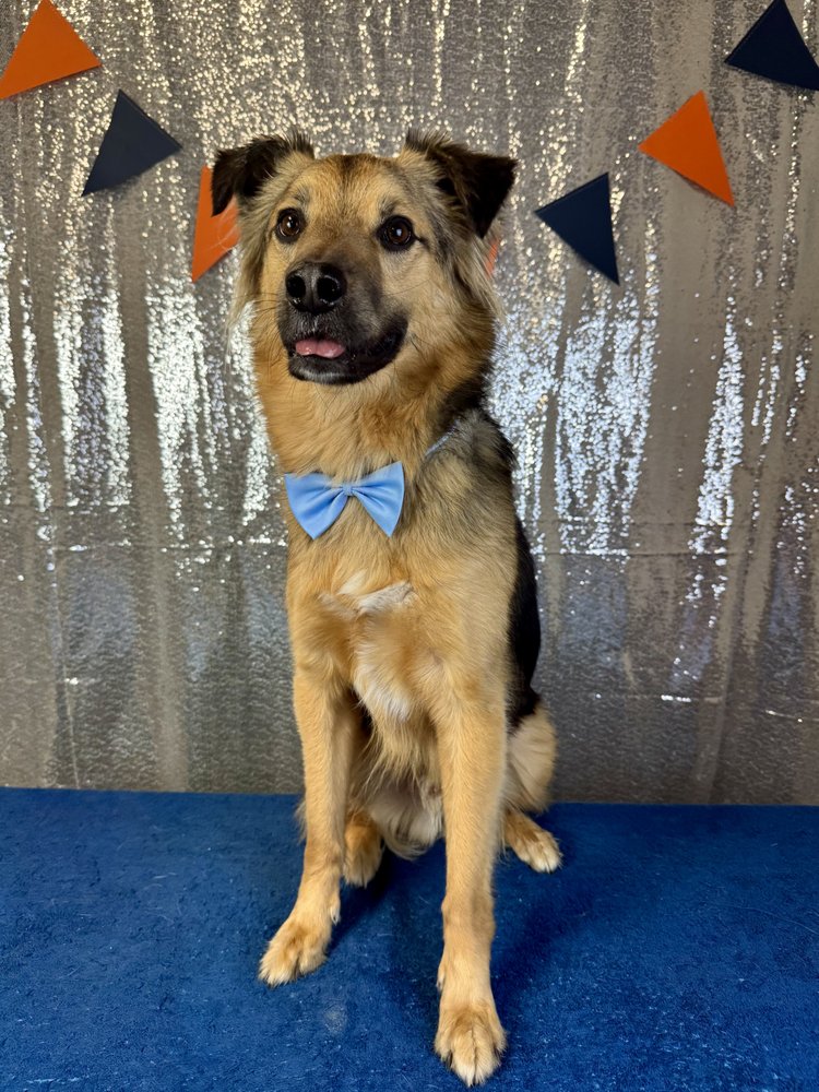 Bark U - pet boarding facility in King Of Prussia, PA