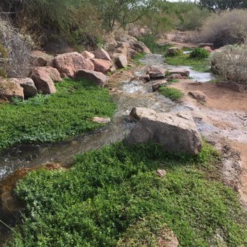 Veterans Oasis Park - Parks Near Me - Chandler, Arizona Veterans Oasis Park - Parks Near Me - Chandler, Arizona