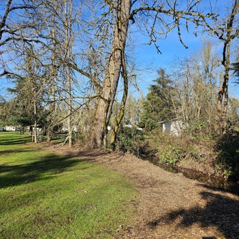 Deerwood RV Park - Nice little creek that runs through the center park area - RV Parks Near Me - Eugene, Oregon Deerwood RV Park - Nice little creek that runs through the center park area - RV Parks Near Me - Eugene, Oregon