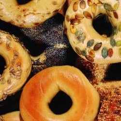 Salomon Bagels - Lecker bagels