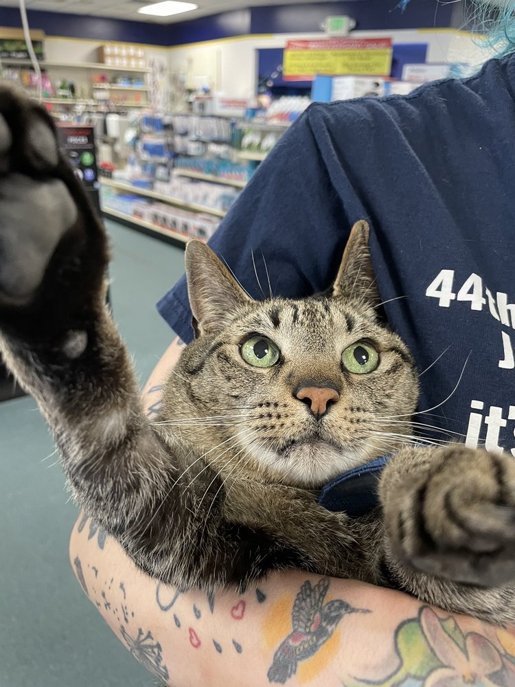 Island Pet Center Image