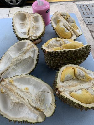 Durian 36 by null