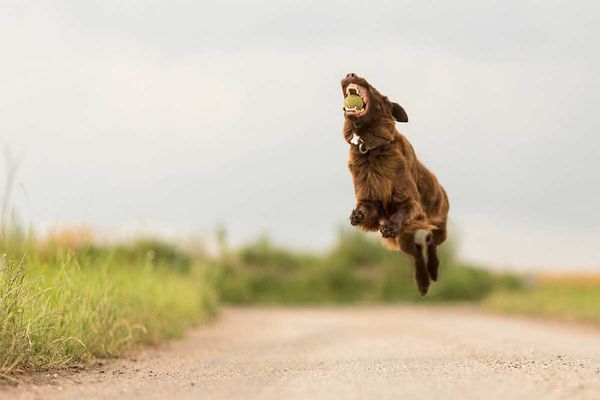 New York Institute of Photography by null