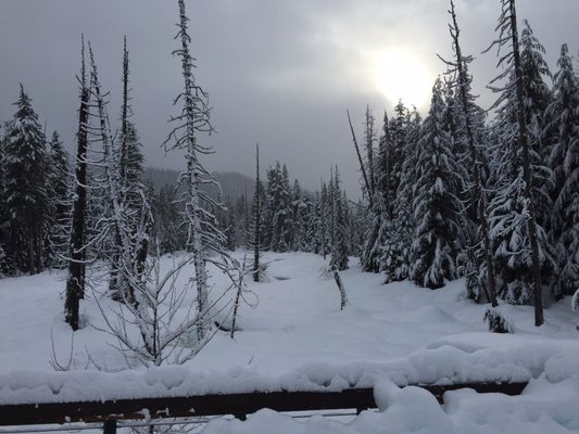 Whistler Olympic Park by null