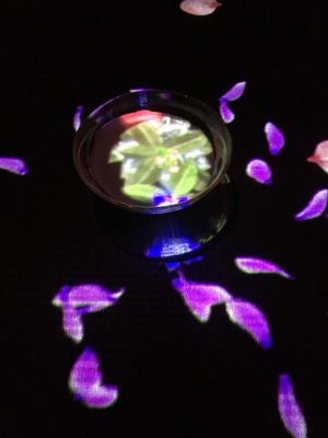 EN TEA HOUSE 幻花亭D rec by null