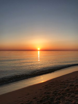 P. J. Hoffmaster State Park by null