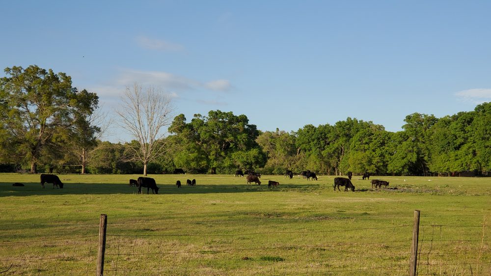 MODERN HERITAGE MEAT PROCESSING Updated October 2024 2110 NE 63rd