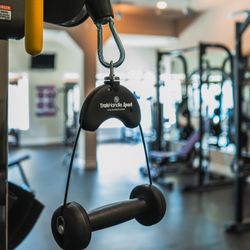 Bandit Fitness Equipment