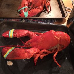 Verona Island Lobster - Cooked for the recommended amount of time by the owners.