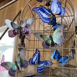 Beautiful Butterflies