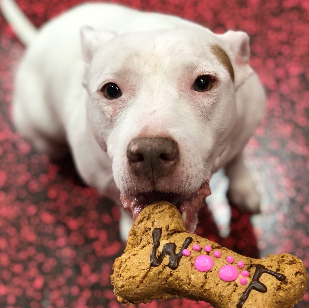 o Jupiter Florida Real Estate For Sale