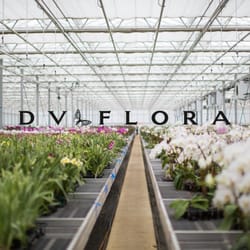 DVFlora