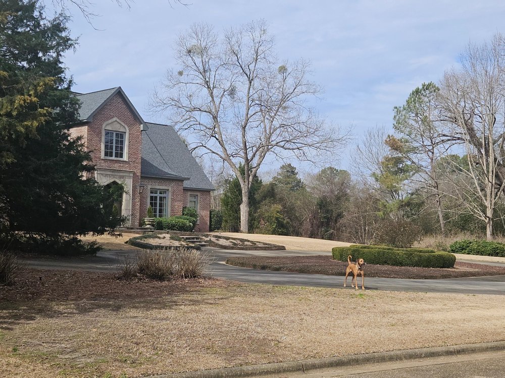 TOP NOTCH LAWNS 1129 Dozier Rd, Montgomery, Alabama Landscaping