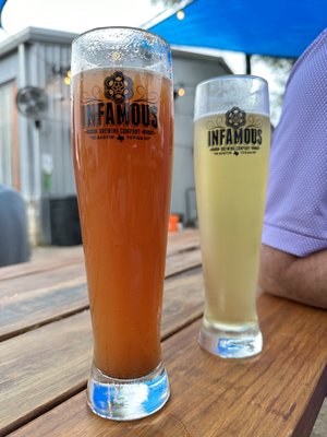 Infamous Brewing Company by null