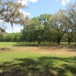 We are centrally located in Florida. We are at least 40-60 miles North of Tampa, South of Ocala & West of Orlando