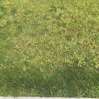 Johnny's Landscaping - Landscaping Near Me Johnny's Landscaping - Landscaping Near Me