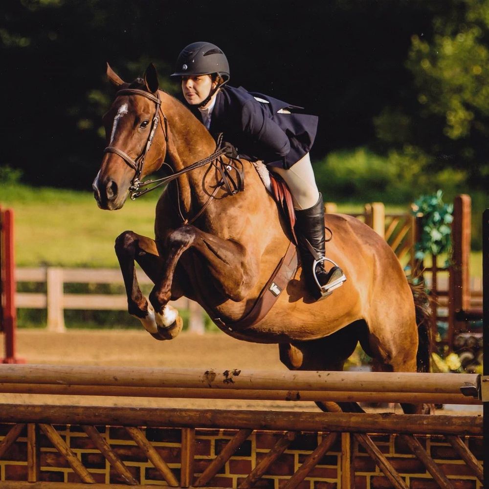 Great Escape Stables - equestrian in South Lyon, MI