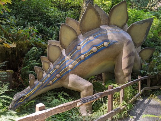 Prehistoric Gardens by null