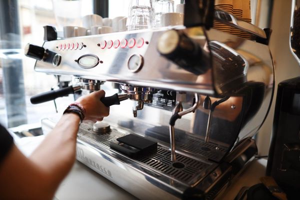 French Theory by null